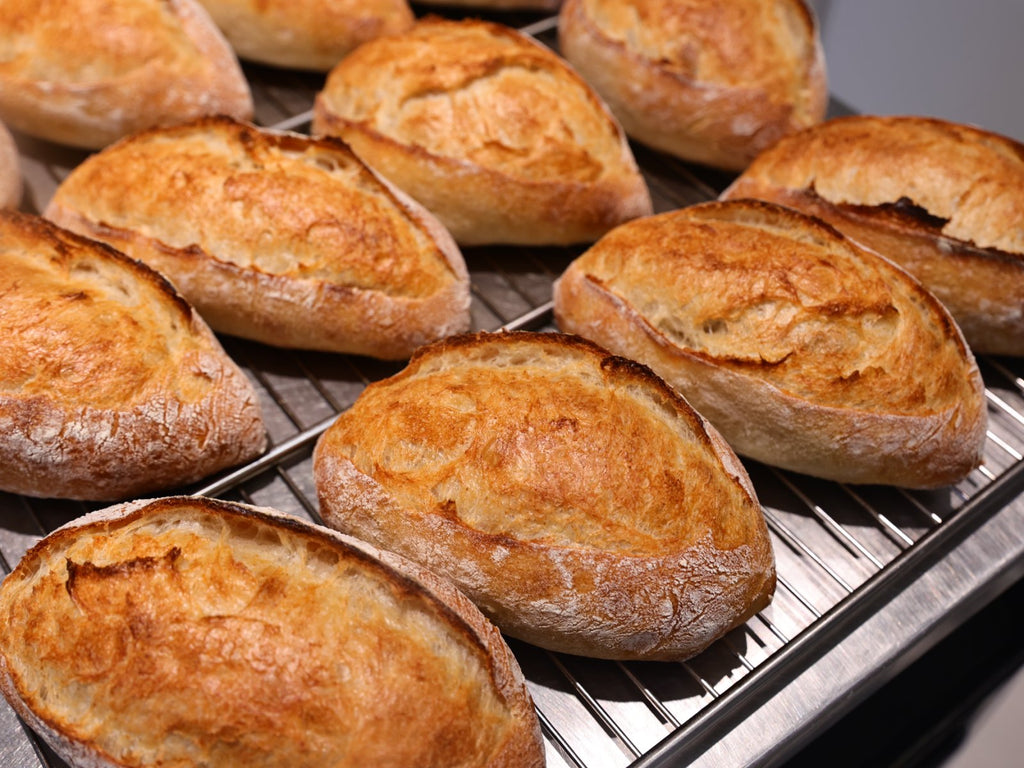 Japanese Demi-Baguette