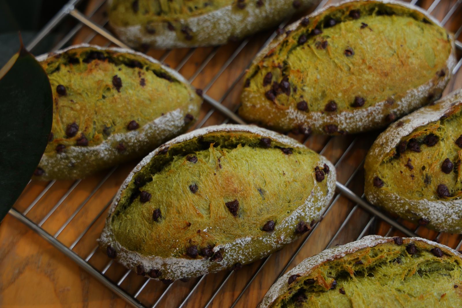 Matcha Chocolate Country Roll