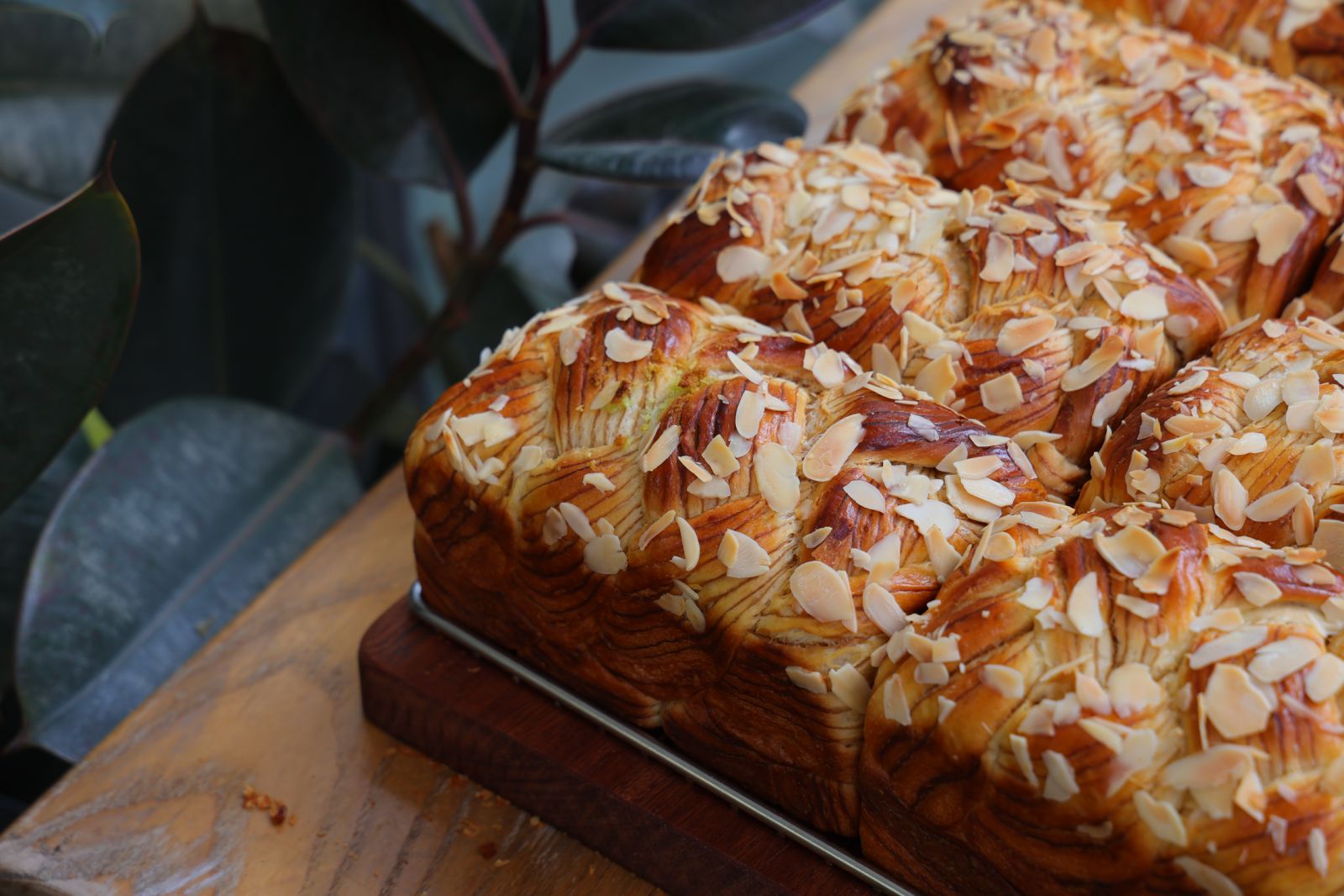 Maple Almond Brioche (Fall Limited)