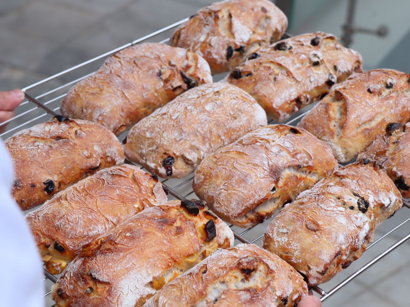 Raisin Pain de Lodeve