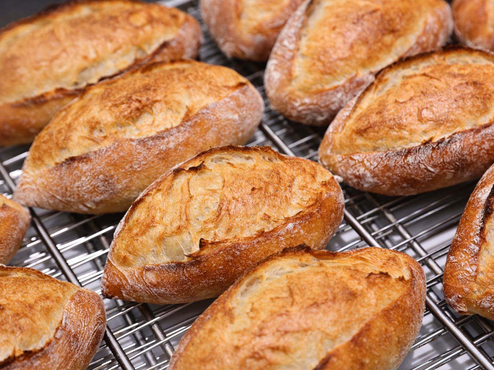 Japanese Demi-Baguette