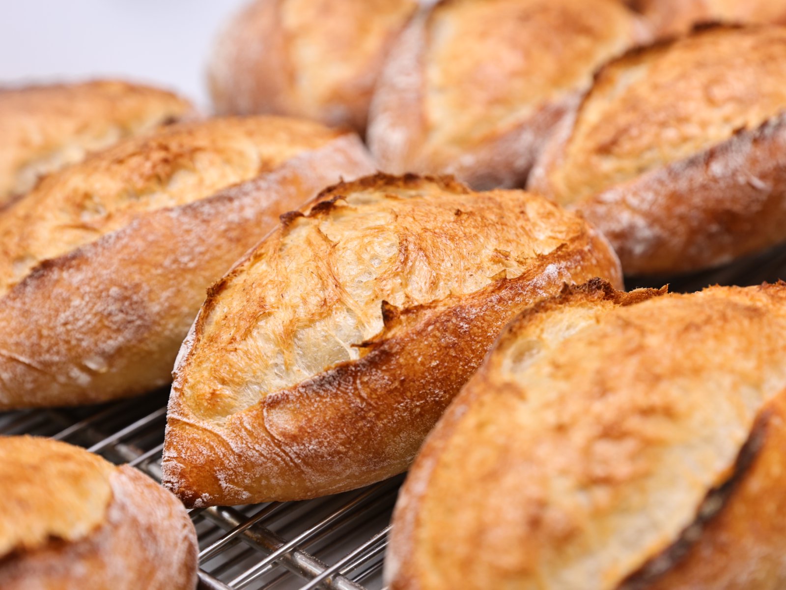 Japanese Demi-Baguette