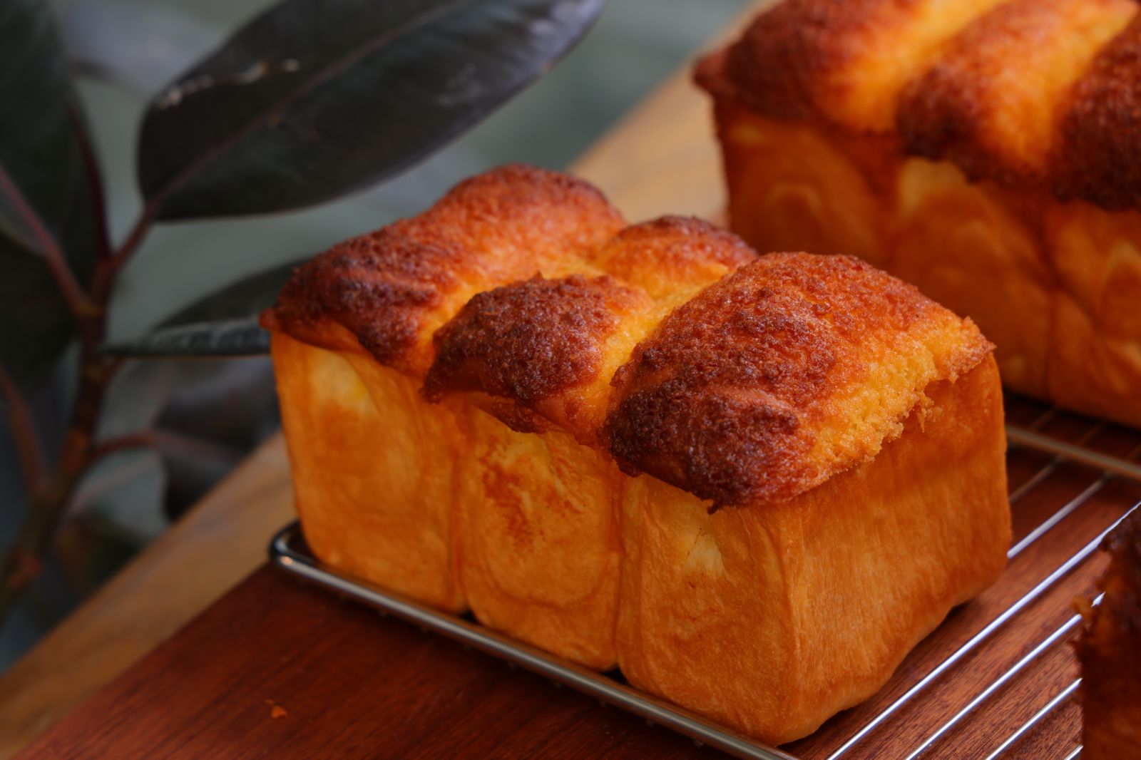 Crust of Gold Brioche Loaf