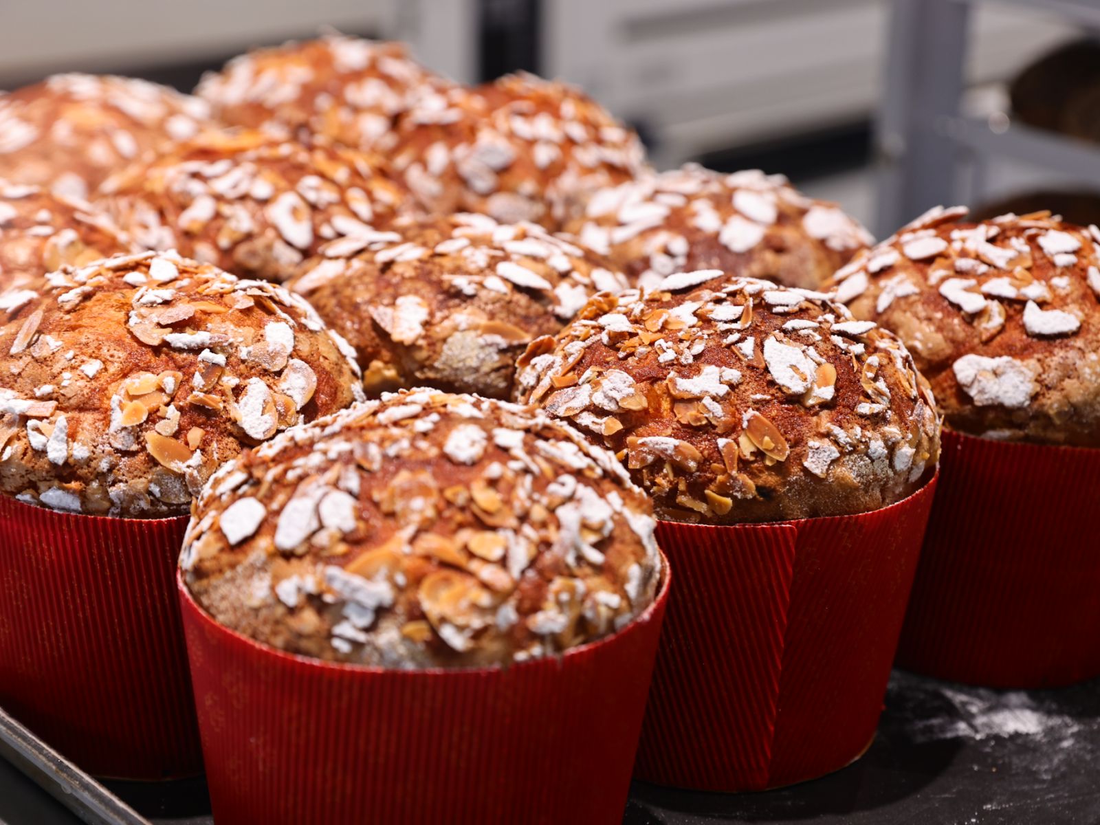 Panettone (Pre-order Christmas Exclusive)