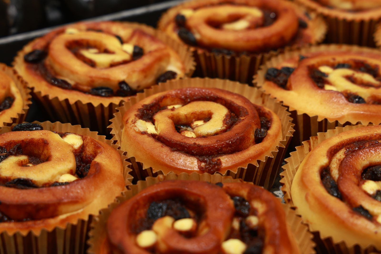 Apple Cinnamon Walnut Bun