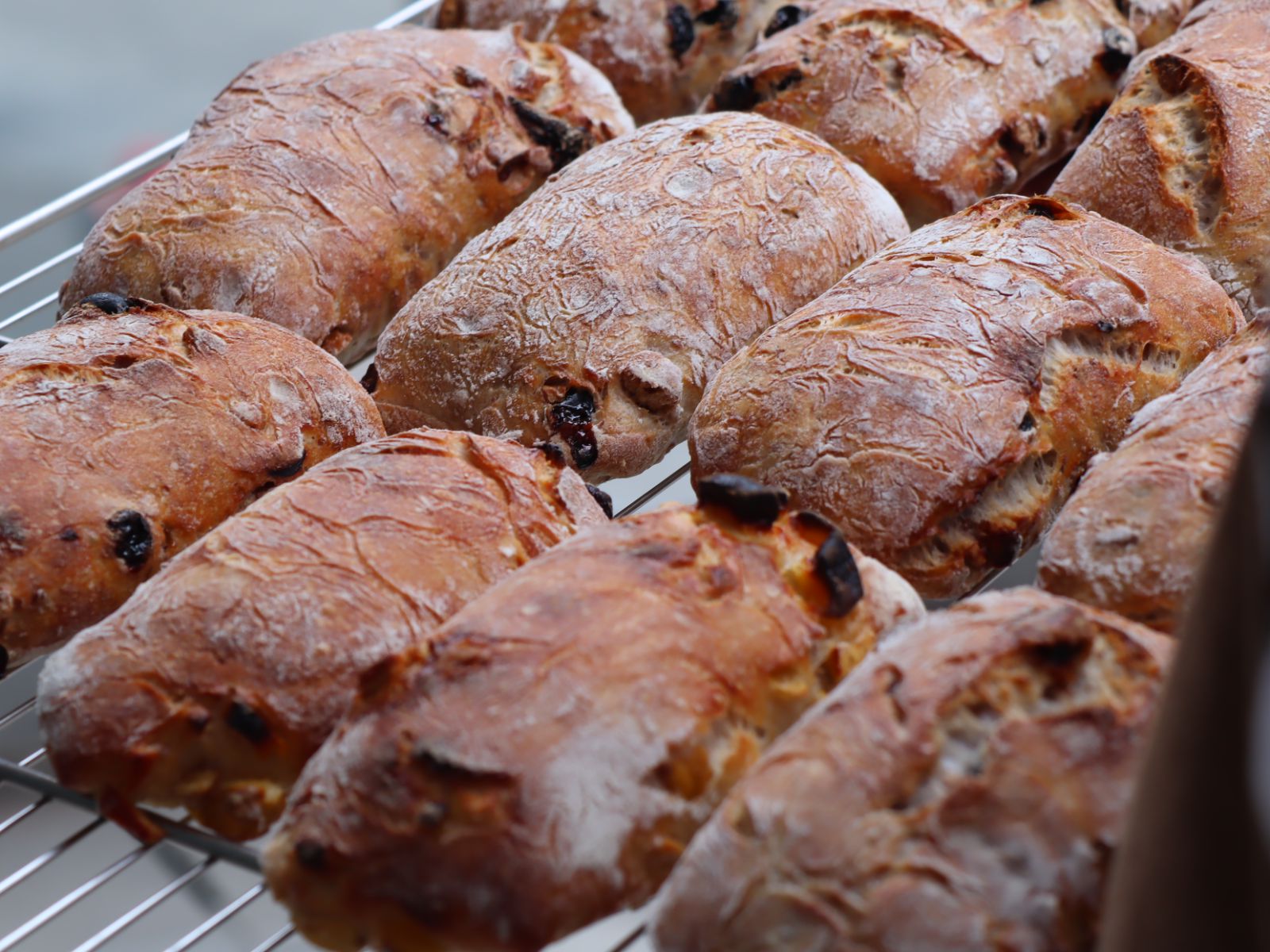 Raisin Pain de Lodeve