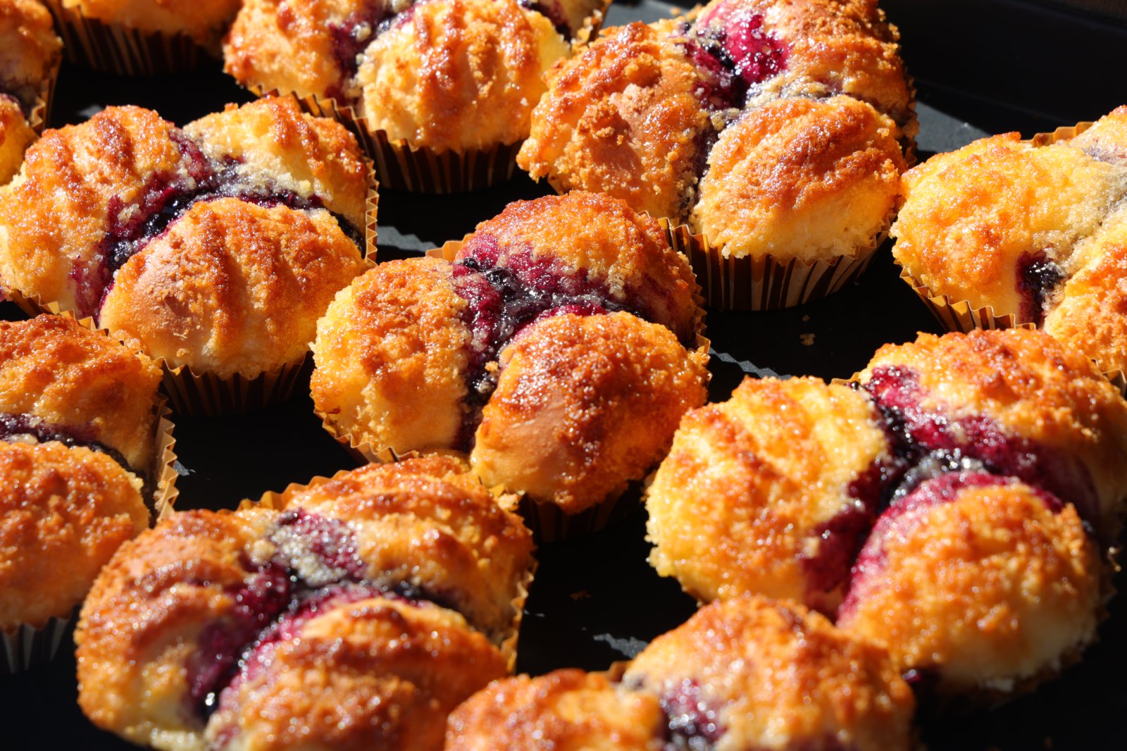 Blueberry Cream Cheese Bun