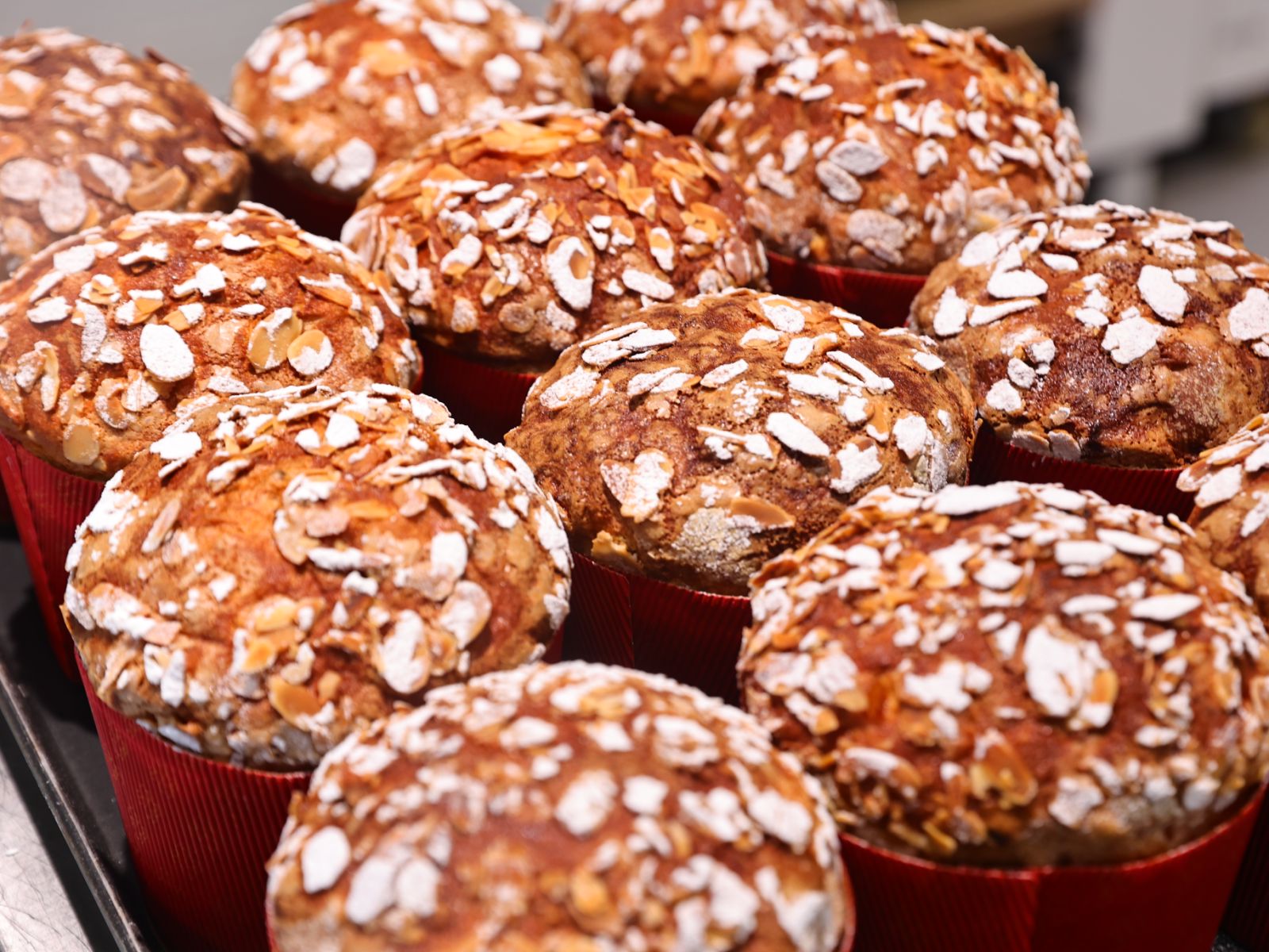 Panettone (Pre-order Christmas Exclusive)