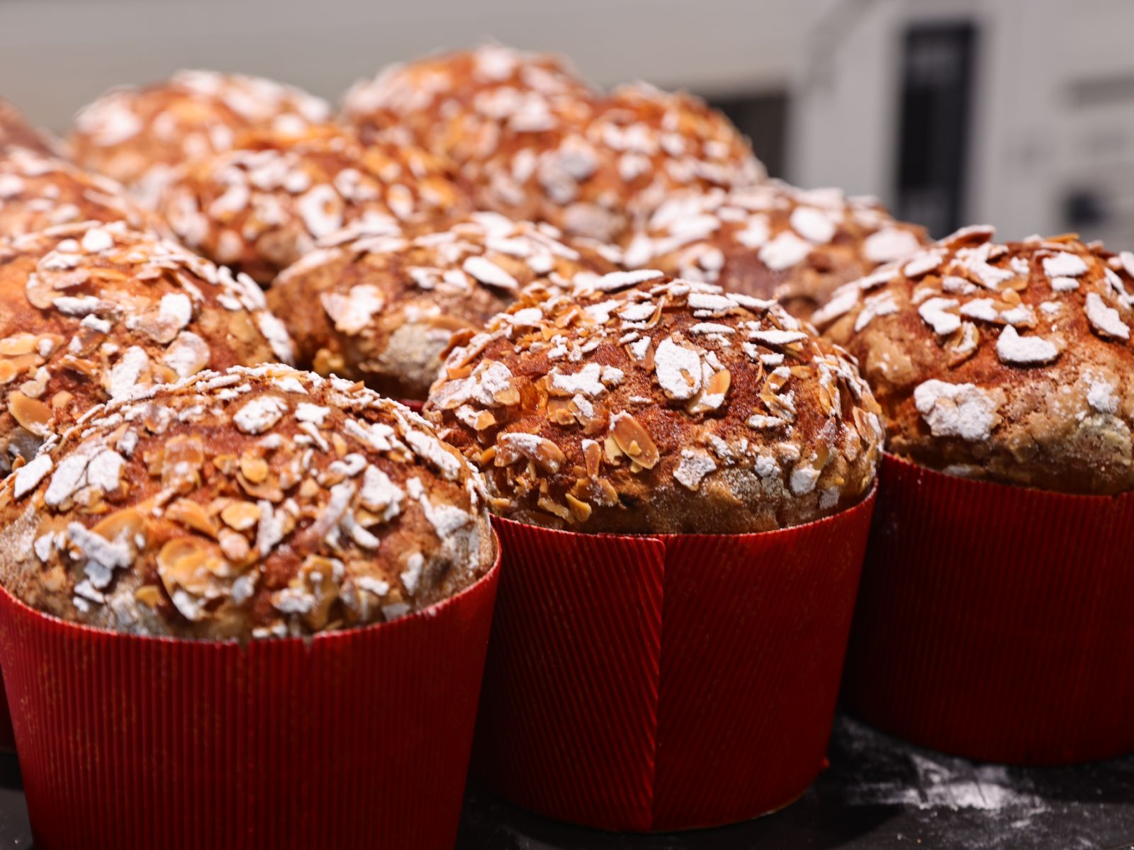 Panettone (Pre-order Christmas Exclusive)